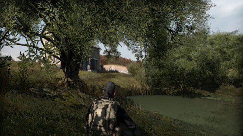 dayz5