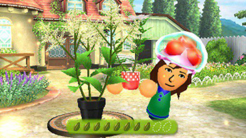 Jardín Mii de StreetPass