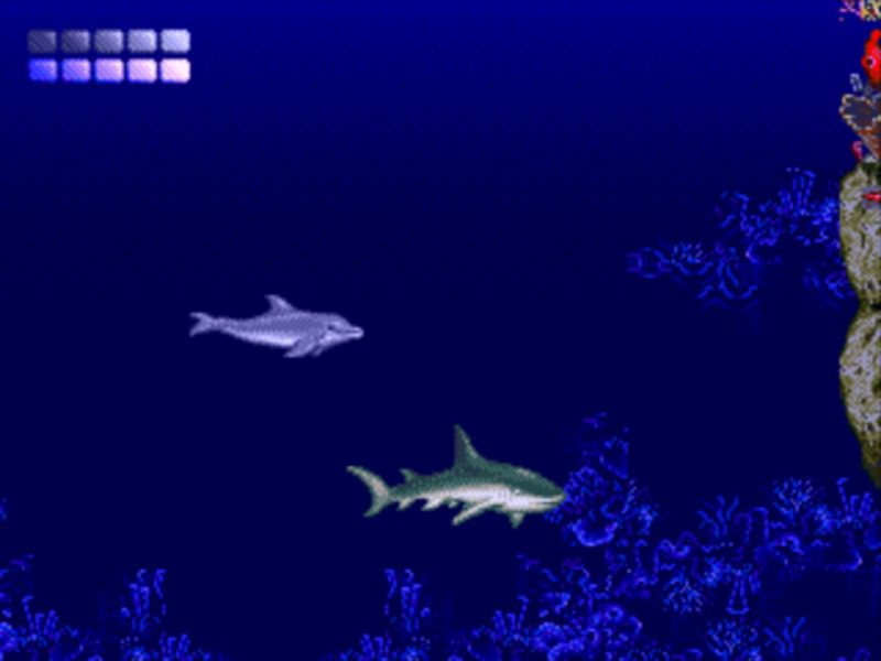 Ecco the Dolphin MD 03