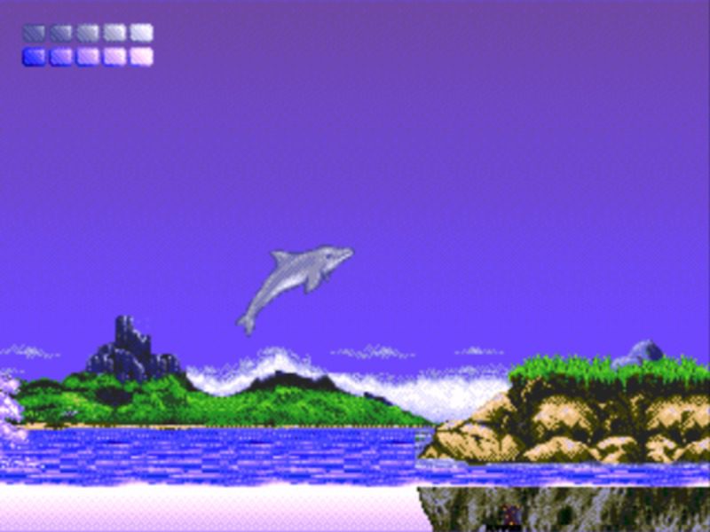 Ecco the Dolphin MD 04