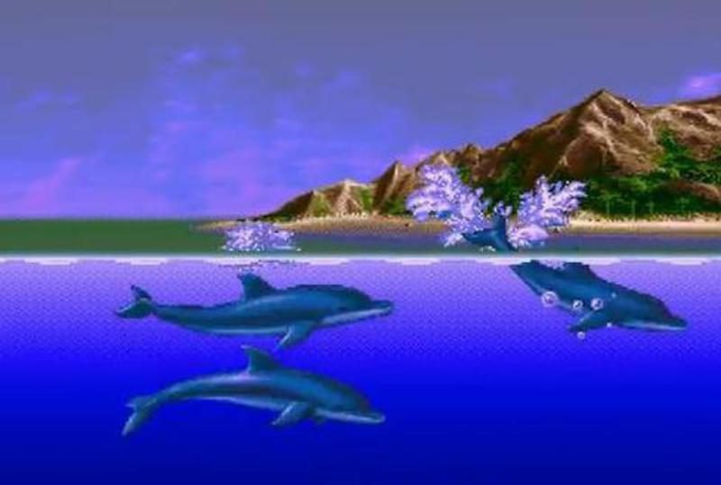 Ecco the Dolphin MDC 07