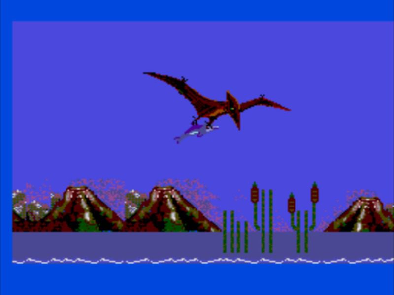 Ecco the Dolphin MS 01