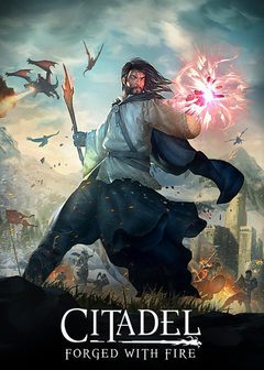 Citadel: Forged with Fire