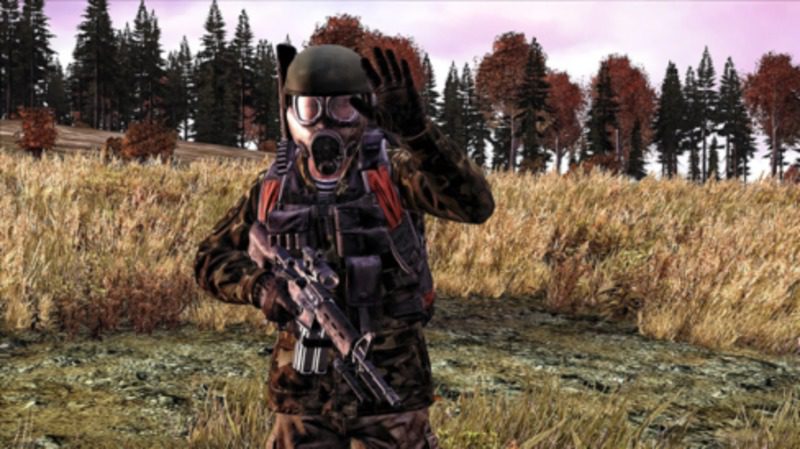 DayZ