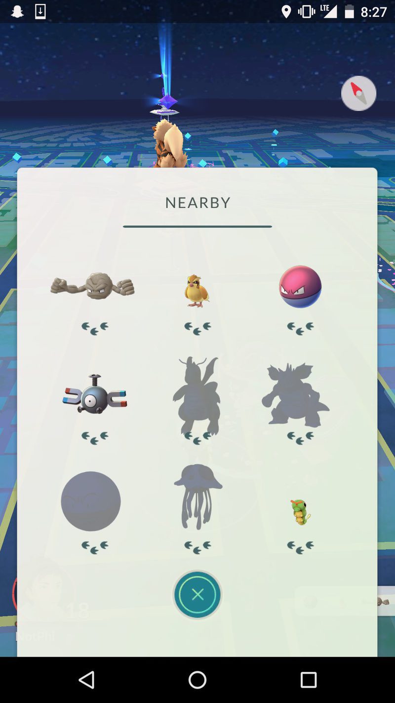 Pokemon Go Bug