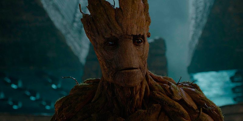 Groot