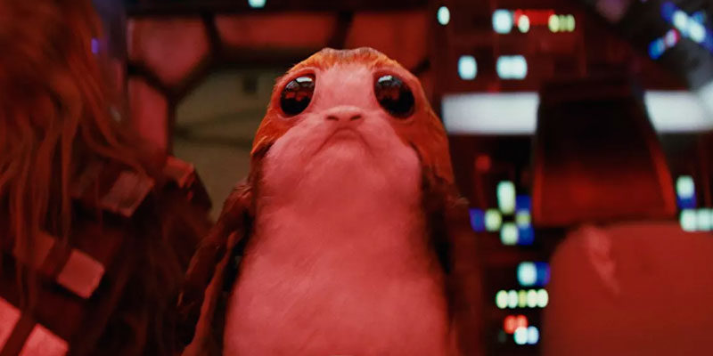 Porgs