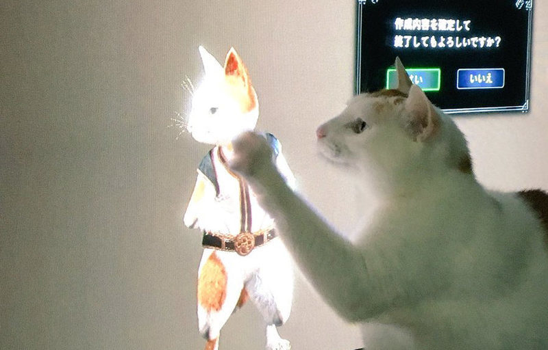 Gatos Felyne Monster Hunter World