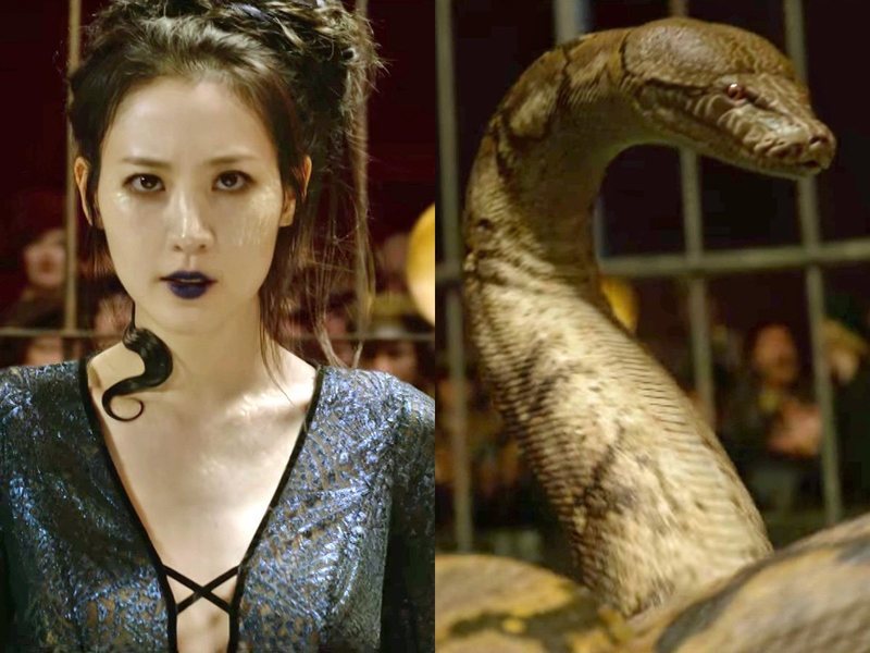 Nagini no es una serpiente sin más 