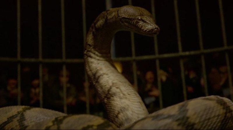 Nagini, la nueva protagonista