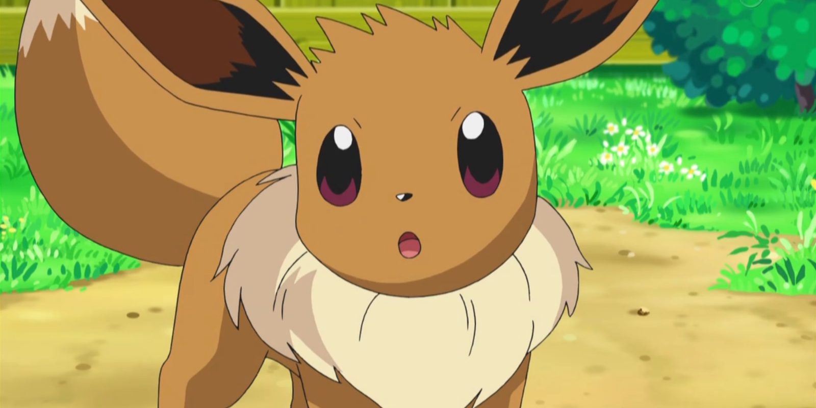 El Pokémon Eevee tendrá un lujo anillo con todas sus evoluciones