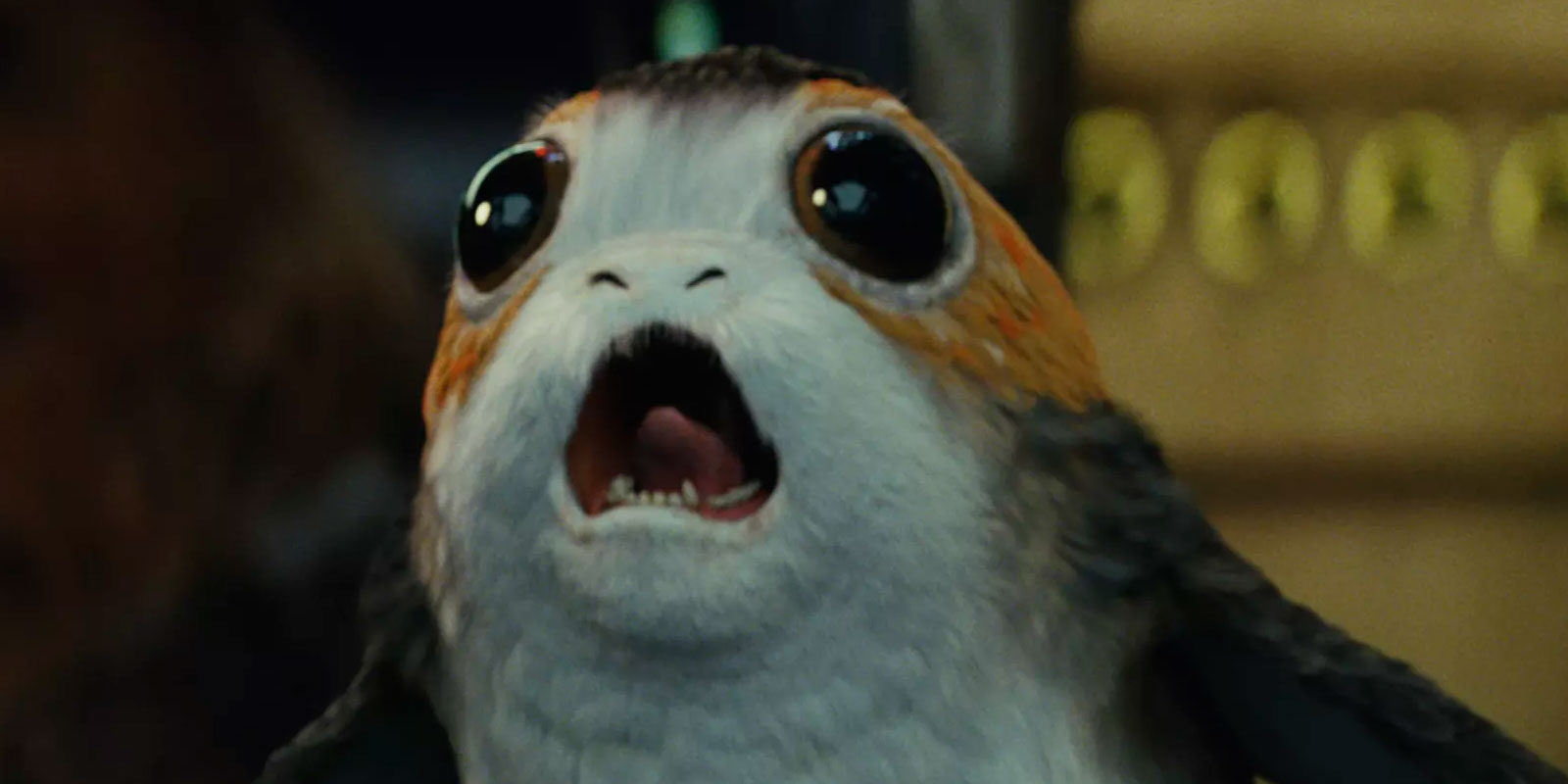 Tres miembros de la producción de 'Star Wars: Los últimos Jedi' se llevaron un Porg a casa