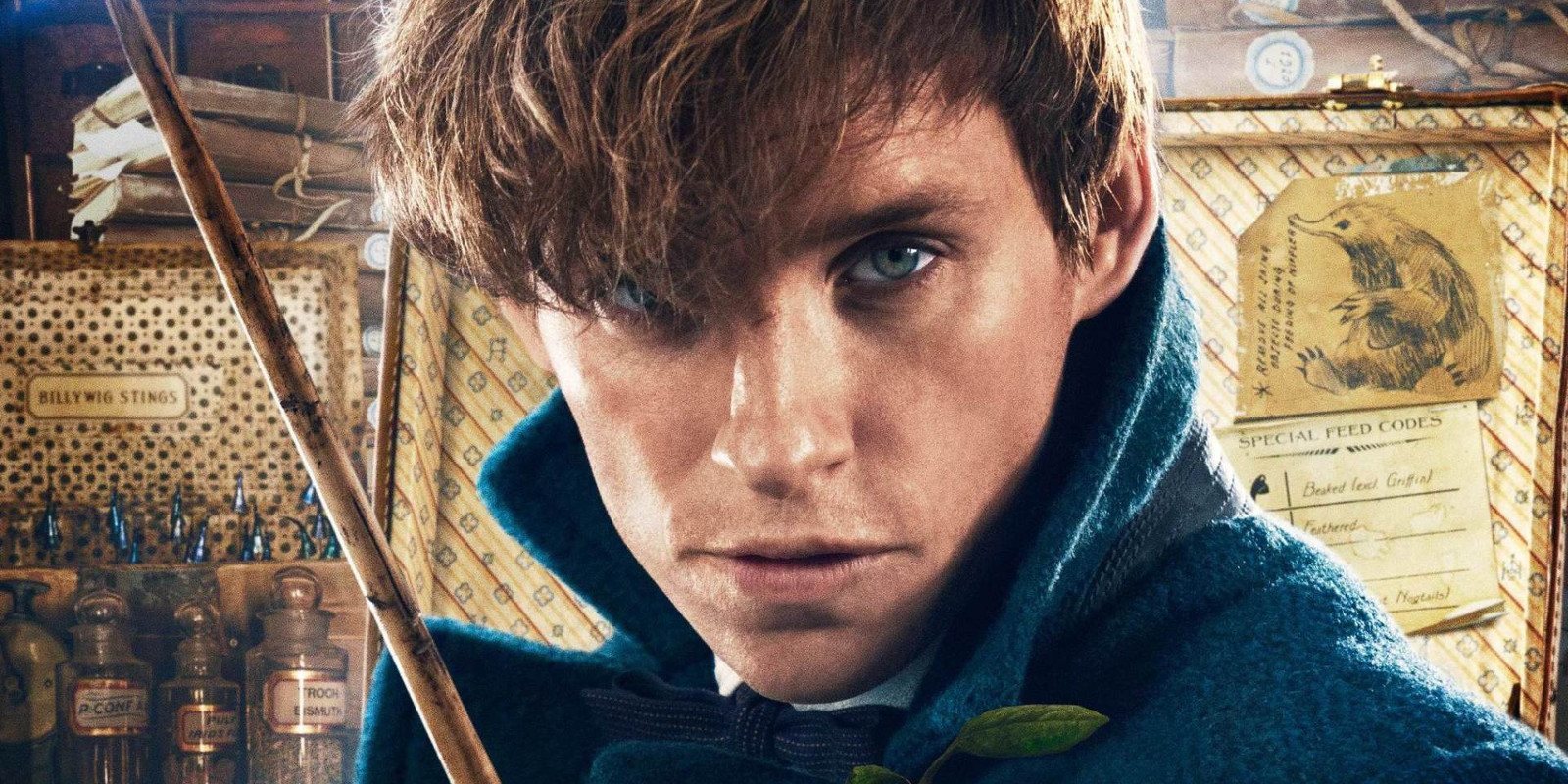 'Animales fantásticos: Los Crímenes de Grindelwald': Conocemos al Newt Scamander adolescente